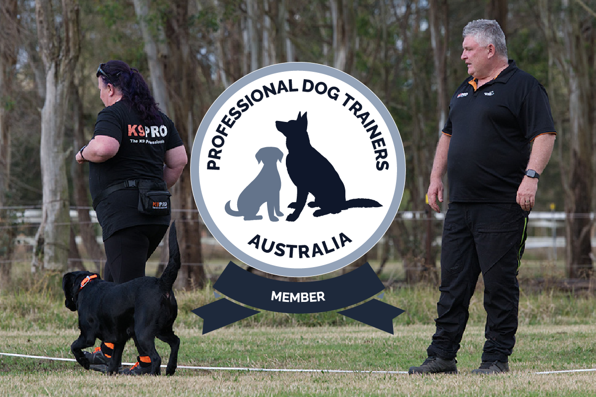 NATIONAL DOG TRAINERS FEDERATION REVIEWS visual data 5